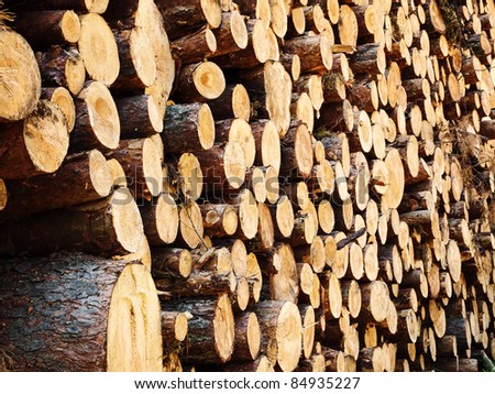 Photo of the cut out logs