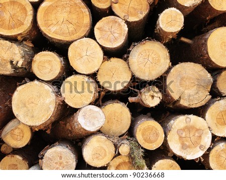 Photo of the cut out logs