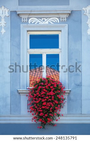 Red Flowers On The Sill Of A Window