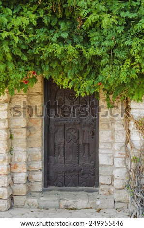 Entrance To The House Under Dense Foliage