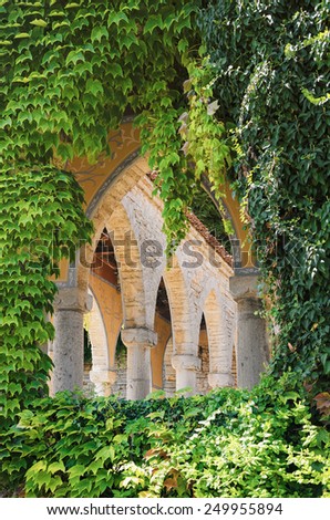 Arched Window Opening Among The Leaves