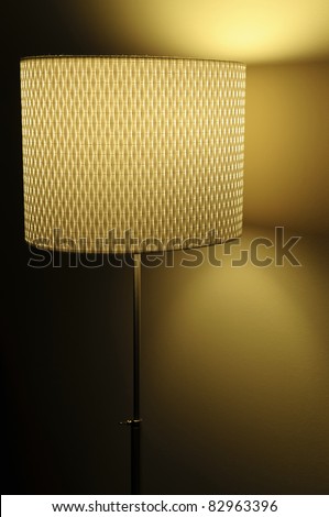 Modern Decorative Floor Lamp