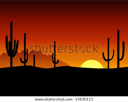 Sunset. Desert. Cactus.