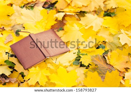 opened book laying in yellow leaves