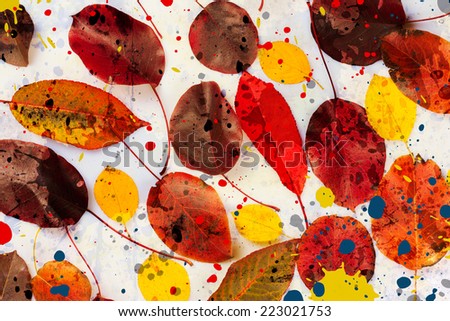 collection beautiful colorful autumn leaves with color stains
