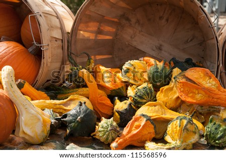 A variety of pumpkins and squash at a farmers market