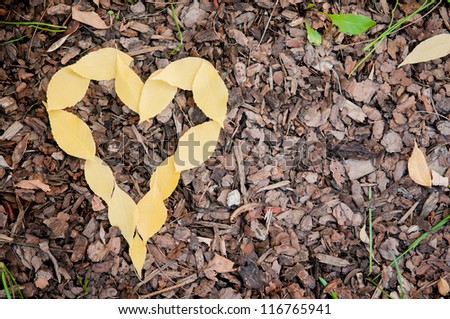 Fall love. Heart shape made from fall leaves on the ground, with copy space