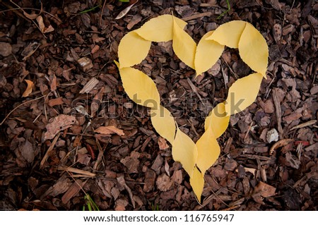 Fall love. Heart shape made from fall leaves on the ground, with copy space