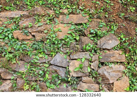 wall of stone and soil , nature wall