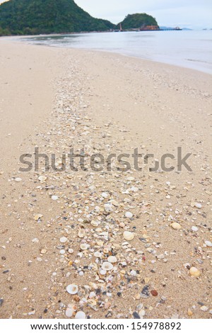 Many Broken Seashells On Beach , Broken Seashells