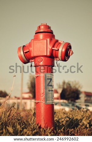 roadside fire hydrant closeup in urban setting.