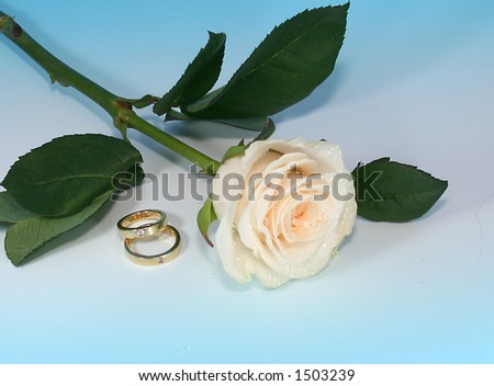 Two Rings With White Rose