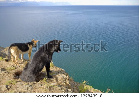 Two dogs look down from rock, Lake Baikal.