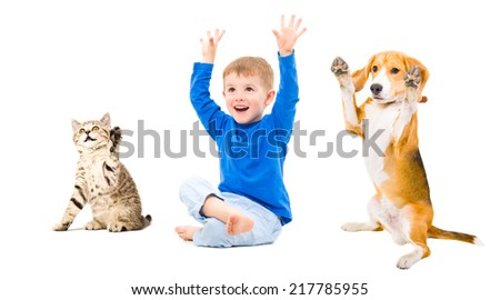 Happy boy, dog and cat  together with hands raised