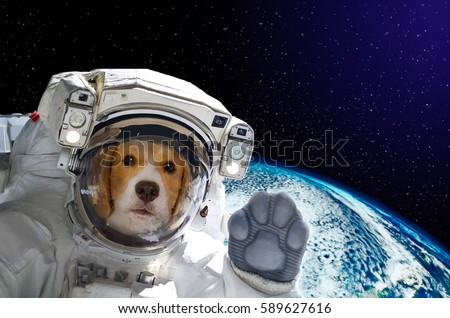 Portrait of a dog astronaut in space on background of the globe. Elements of this image furnished by NASA.