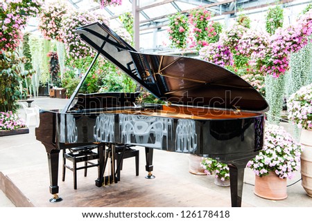 piano and flower