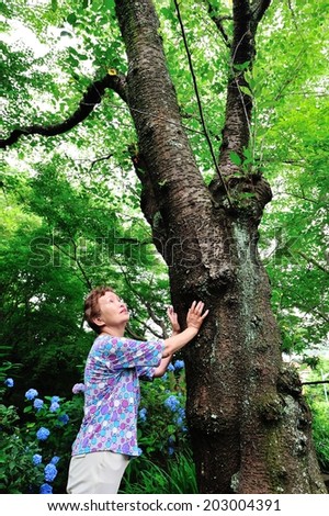 How the Asian woman of seniors are getting the power from the big tree
