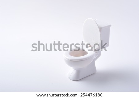 White Western-style toilet bowl