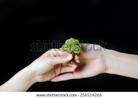 Green trees and human hand