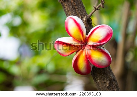 Flower plaster statue on tree with blur background.