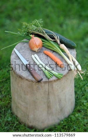 natural organic raw food on a stump with old knife and green grass in background. Photo is not fixed (\
