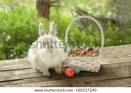 White bunny near white basket with Easter eggs on wooden background