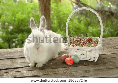 White bunny near white basket with Easter eggs on old wooden table