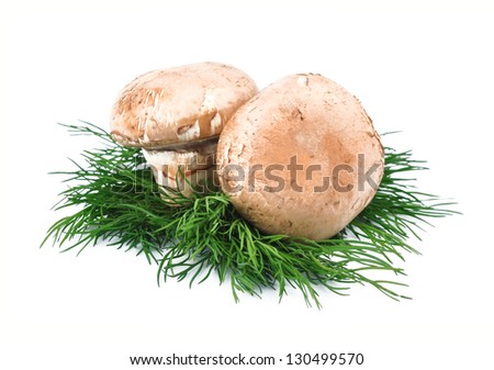 Mushroom and fresh parsley isolated on white background. Championing