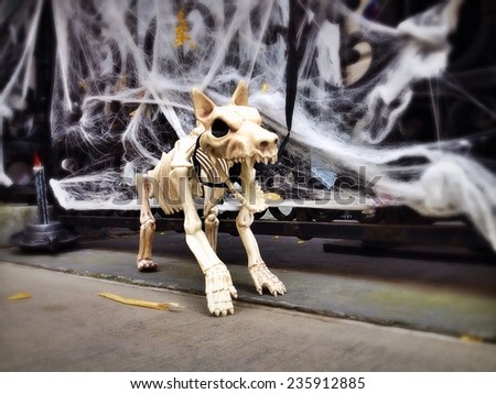 Scary Halloween dog skeleton outside in New York City with Instagram effect filter.