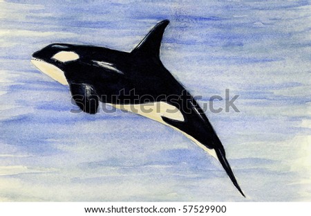 Free Stock Photos on Killer Whale  Orca  Stock Photo 57529900   Shutterstock