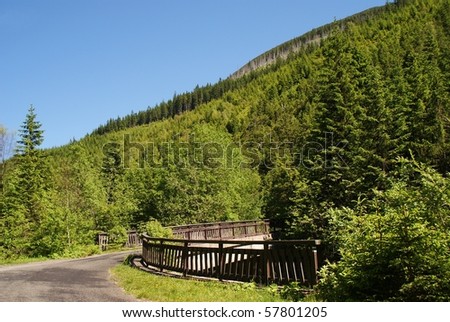 Mountain landscape in czech Krkonose with wooden bridge in the teeth of Whites Elbe