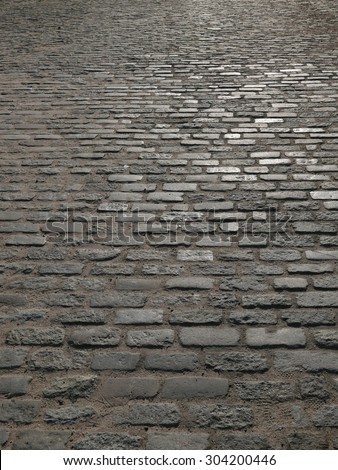 Hand Laid Brick road with sun reflection