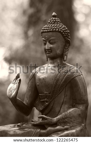 Buddha metal statue in a forest
