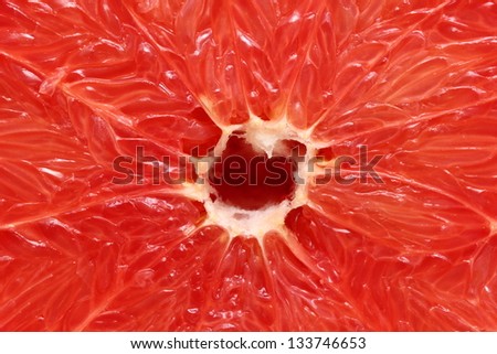 big red grapefruit filling all the frame