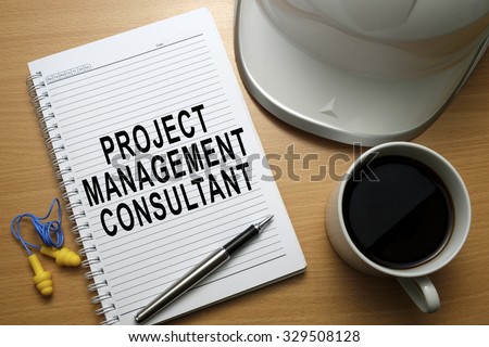 Business conceptual - focusing on Project Management Consultant.