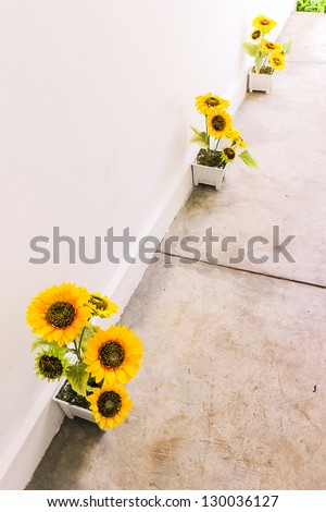 Sunflowers decoration on walk way to rest room