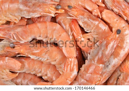 shrimps background