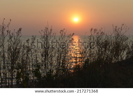 sunrise over a field and sea