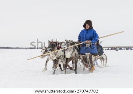 Tarko-Sale, Russia - March 28, 2015: Man with reindeer team in a national holiday \