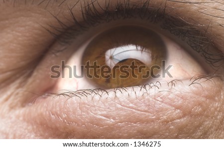 eye close up natural color