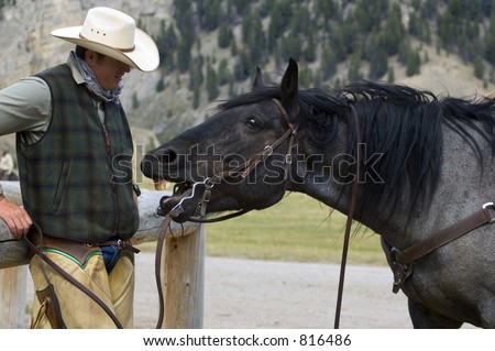 Cowboy/Horse Conversation