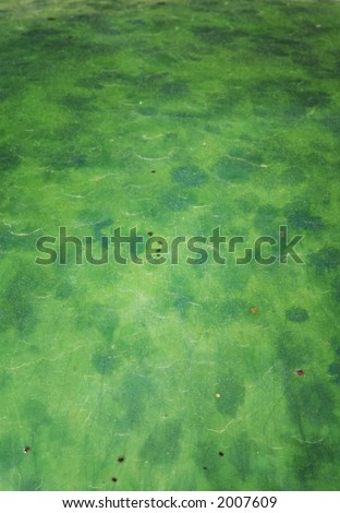 Mottled Green