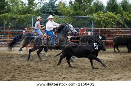 Cowboys Work the Cows Panning and Motion Blur