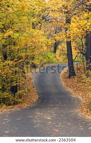 Winding road under autumn canopy