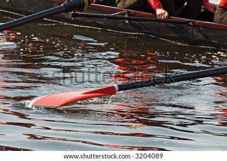 rowing race