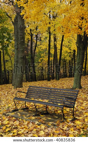 Autumn Bench - park bench amongst fall leaves and forest