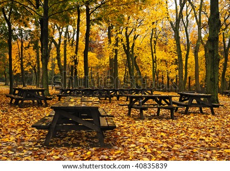 Autumn Picnic Tables - picnic tables amongst fall leaves and forest