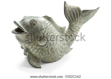 asian coy fish