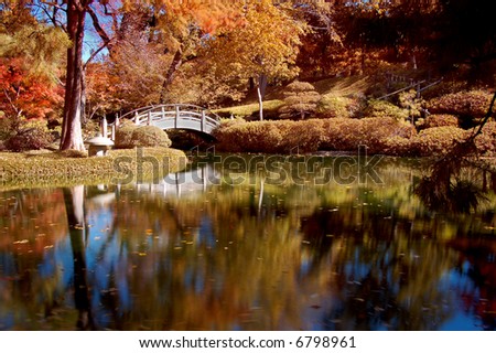 Fall Foliage and Colors in a Japanese Garden