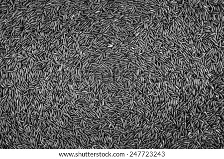 Texture of coarse rice, abstract black background, old black vignette border frame, vintage grunge background texture design, black and white monochrome background